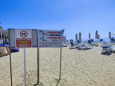 two signs on a beach with chairs and umbrellas at Golden Lady in Sveti Vlas