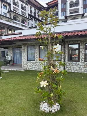 a small tree in front of a building at Meerblick , Etera 4 in Sunny Beach