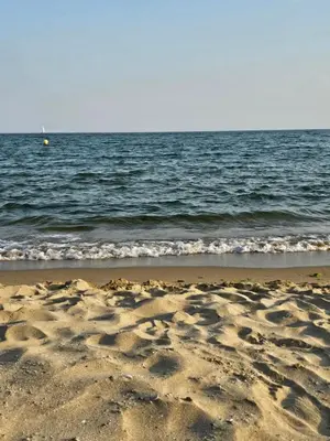 a sandy beach with the ocean in the background at Meerblick , Etera 4 in Sunny Beach