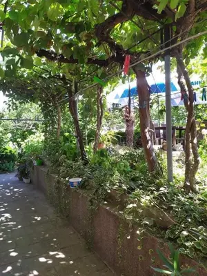 a garden with trees and a fence and a sidewalk at Guest house Pepina in Obzor