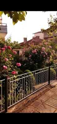 a metal fence next to some pink roses at Guest house Pepina in Obzor