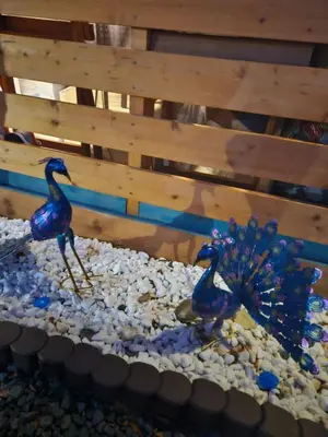 two birds standing on rocks in a bird feeder at Бунгало HAKUNA MATATA, Къмпинг Созопол Еко, плаж Градина in Sozopol