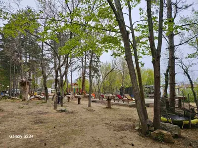 a park with many picnic tables and trees at Бунгало Шангри Ла-3, плаж Градина in Sozopol