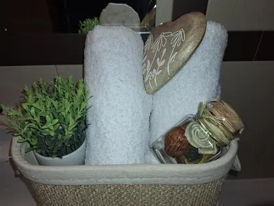 a basket with a couch and a plant in it at Sun Coast by the Sea in Sveti Vlas