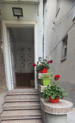 a hallway with two potted plants on the stairs at AT Home in Burgas City