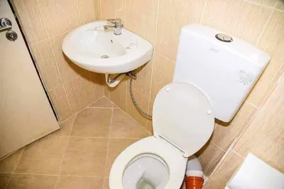 a bathroom with a toilet and a sink at Къща за гости Силвия in Shkorpilovtsi