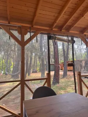 a table in a cabin with a view of a forest at The magical place in Chernomorets