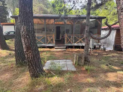 a cabin in the woods with two trees at The magical place in Chernomorets