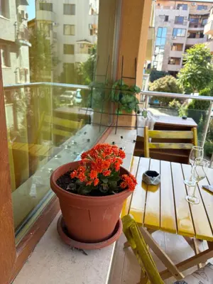 a pot of flowers sitting on a balcony at Cozy studio in Sunny beach in Sunny Beach
