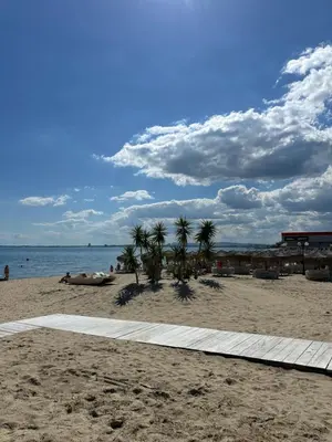 a sandy beach with palm trees and the ocean at Vega View in Sveti Vlas