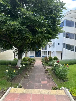 a walkway in front of a building with a tree at Vega View in Sveti Vlas