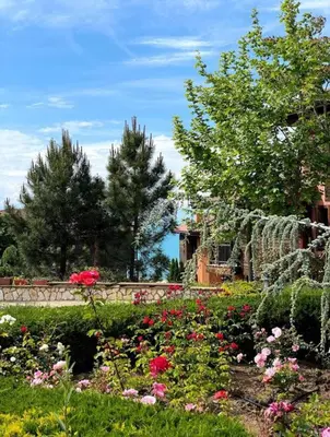 a garden with flowers and a fence and trees at Sozopolis Sunset Apartment with sea view in Sozopol