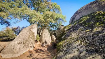 a group of rocks with a tree in the background at Studio Comfort Blue in Primorsko