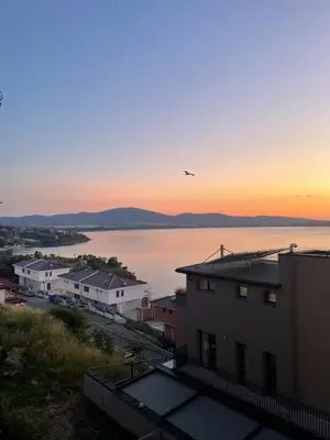 a bird flying over the water at sunset at Sea view apartment in Sozopol