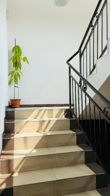 a stairway with a potted plant on the top at ASTORIA II Apartment 13 One Bedroom Parter in Elenite