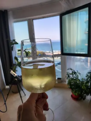 a person holding up a glass of wine at Izabela in Pomorie