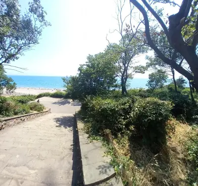 a path leading to a beach with trees and the ocean at Студио Слънчева перла in Burgas City
