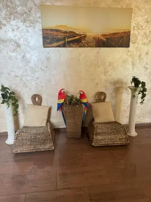 two wicker chairs with birds on them in a room at HOLIDAY Suites at Sunny Beach in Sunny Beach