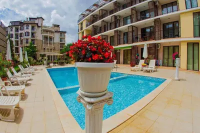 a vase filled with red flowers next to a swimming pool at Студио до плажа Свети Влас in Sveti Vlas