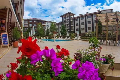 a group of flowers in a courtyard with a pool at Студио до плажа Свети Влас in Sveti Vlas