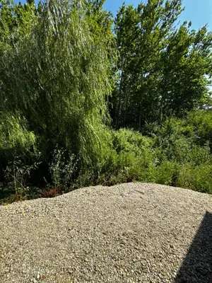 a large rock sitting in front of some trees at Вила Бонита плаж Градина in Burgas City