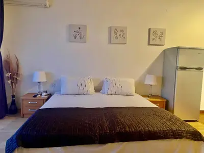 a bedroom with a large bed with two night stands at Beachfront Studio with Sea Views in Sveti Vlas