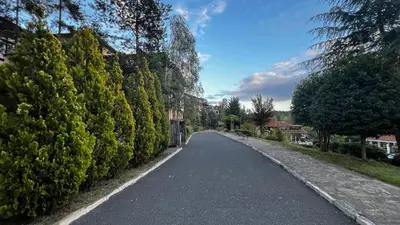 an empty road with trees on either side of it at Summer Mood, Forest Feeling in Sozopol in Sozopol
