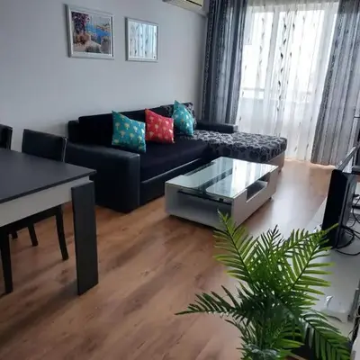 Royal Palm 170