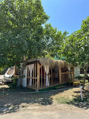a house with a thatched roof under a tree at Каравана Бамбоо in Sozopol