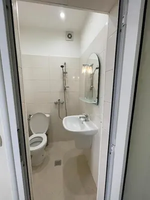 a small bathroom with a toilet and a sink at Mila 5 in Burgas City