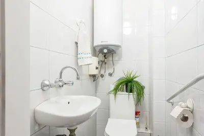 a white bathroom with a sink and a plant at Aristocratic to the Sea Garden in Varna City