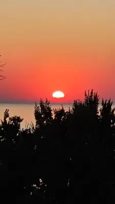 a sunset over the ocean with trees in the foreground at Апартаменты за гости Гавань in Byala