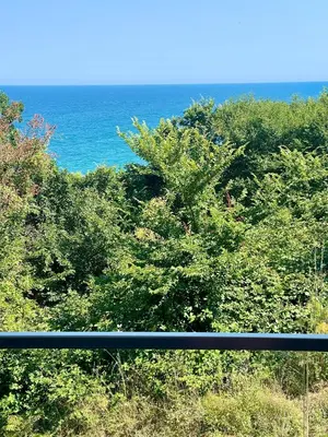 a view of the ocean from a hill with trees at Byla Sea side Apartament in Byala