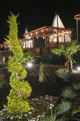 a view of a house at night with a tree at Elysium Lozenets in Lozenets