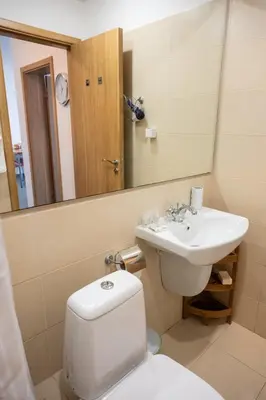a bathroom with a toilet and a sink and a mirror at Paradise View Guest Apartment in Sozopol