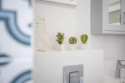 a shelf with potted plants on it in a kitchen at California in Varna City