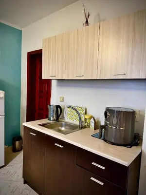 a kitchen with a sink and a counter top at Vila Nikoleta in Sveti Vlas
