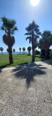 a group of palm trees in a park at Apartment 300m from private beach VILA ROMANA Royal Castle in Sveti Vlas
