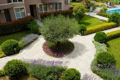 an overhead view of a garden with a tree and flowers at Marea Garden, Ravda - Studio with Pool by Flat Mаnager in Ravda