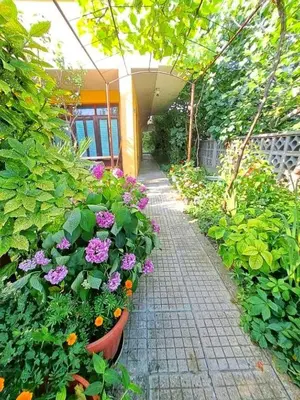 a garden with flowers on a walk way at Family Hotel California in Primorsko