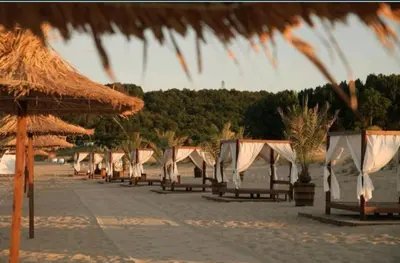 a row of umbrellas and chairs on a beach at Green life private garden studio in Sozopol