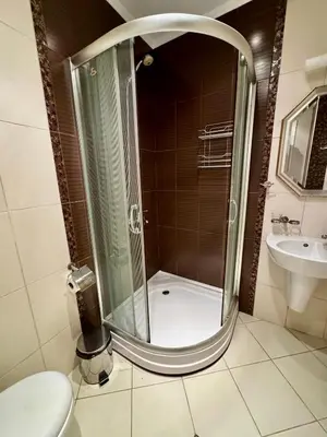 a bathroom with a shower and a toilet and a sink at Sea View Apartment Sveti Vlas in Sveti Vlas