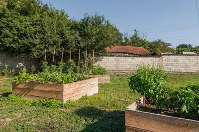 a garden with three boxes of plants in a yard at Augusta's Authentic Farm House in Pchelnik