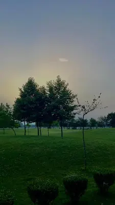 a group of trees in a field with green grass at Sunny Beach Fort Noks Orchid Apartment in Sunny Beach