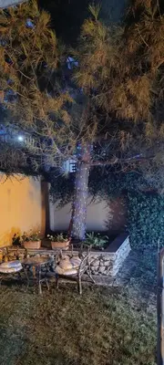 a table and a tree in a garden at night at Boulevard Sea Residenz in Sunny Beach