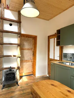 a kitchen with a stove in the middle of a room at Villa Filistrina in Yasna Polyana