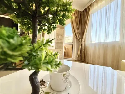 a table with a cup and a tree on it at Emerald Paradise - Menada Apartments in Sunny Beach