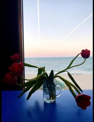 a glass vase with flowers sitting on a table near a window at Seafront Luxury Studio with Panoramic Sea View, Sunny Beach in Sunny Beach
