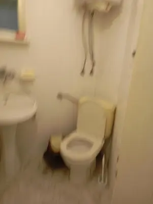a bathroom with a toilet and a sink at Апартамент планина in Varna City