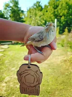 a person holding a small bird in their hand at Бунгала Гнездото Bungalows The Nest Lozenets 2 in Lozenets